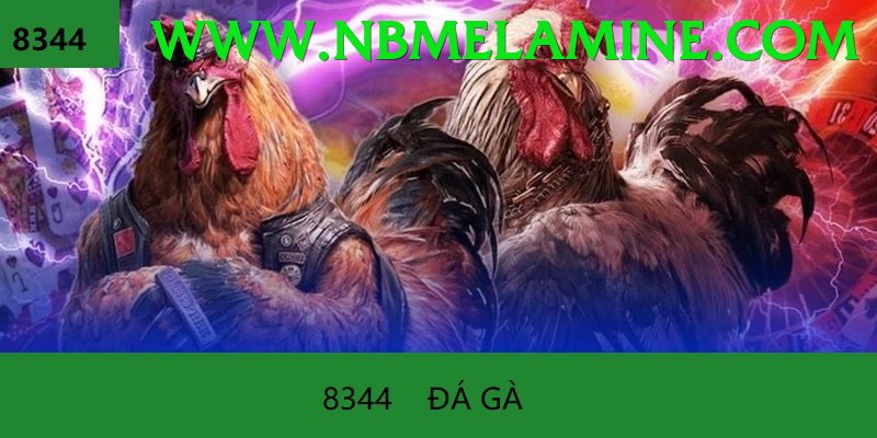 Đá Gà Trực Tiếp - F8bet